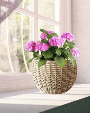 a7bff9e1-d667-11f0-891e-246e9611e8f6-1