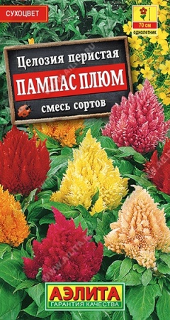 ad5728ae-dcea-11dd-9138-00500454e615-1