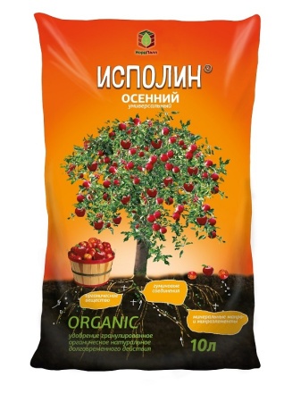 04403543-bf58-11ea-86cc-005056c00008-1