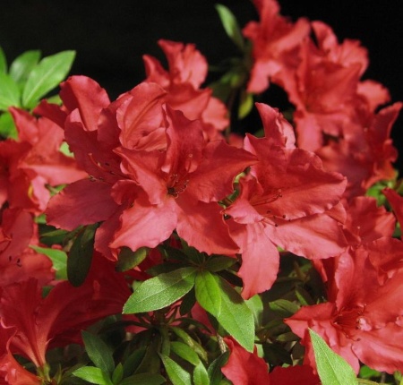 a9539ffb-ceb2-11f0-891e-246e9611e8f6-1