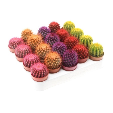 0e43390a-d234-11ee-890a-246e9611e8f5-1