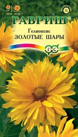 70f41af3-dcea-11dd-9138-00500454e615-1