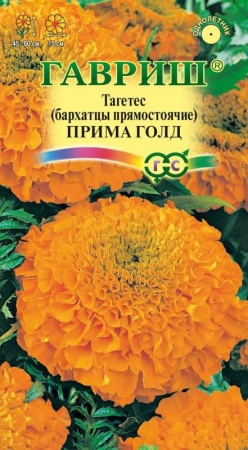 6a97b518-dcea-11dd-9138-00500454e615-1