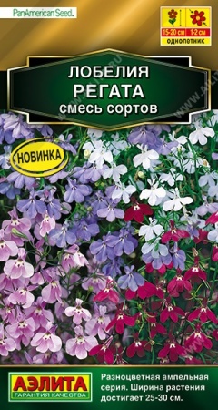 fe438b1c-f807-11ea-b984-005056c00008-2