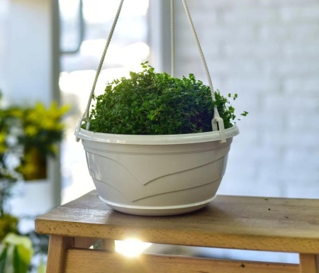 2e28e1b6-57fe-11ed-aea3-001e673ebdea-1