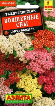 6ab03405-315f-11e9-b36c-005056c00008-1