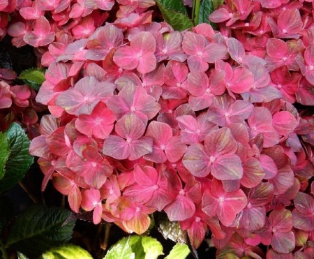 4cd03d1e-67a2-11ed-bd4c-001e673ebdea-1