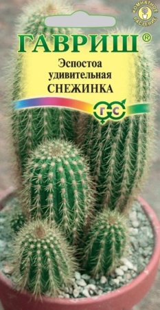 cfa2e35d-e817-11ea-86cc-005056c00008-1