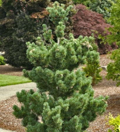 bfb39daf-d75b-11f0-891e-246e9611e8f6-1