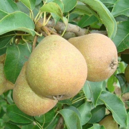 cdd7cfe0-55b2-11f0-891a-246e9611e8f6-1