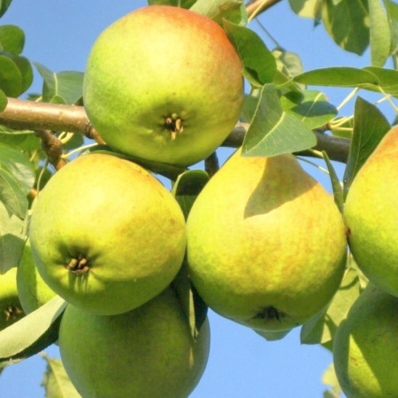 45b17734-be18-11f0-891d-246e9611e8f7-1