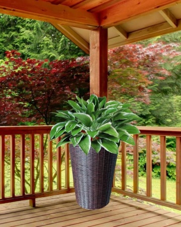 1409baa6-df18-11f0-891e-246e9611e8f6-1