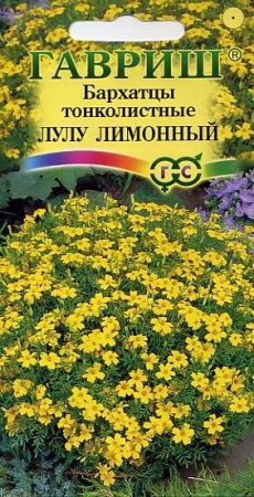 6a97b524-dcea-11dd-9138-00500454e615-2