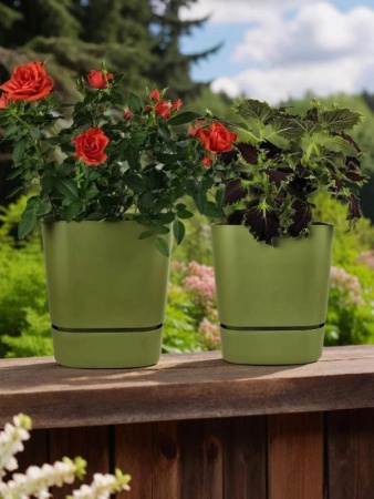 31250c78-da7f-11f0-891e-246e9611e8f6-1