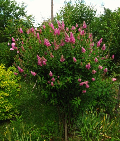 c1468cfe-50b3-11ef-8910-246e9611e8f6-1