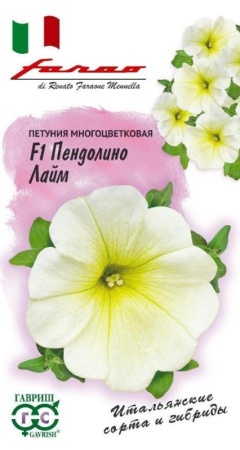 6207339f-4247-11e9-b36c-005056c00008-1