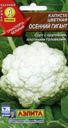 7d524bef-dcea-11dd-9138-00500454e615-1