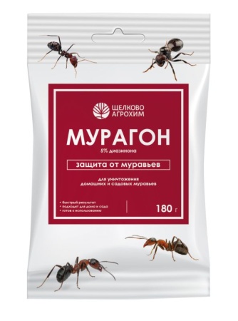 08970773-fdb0-11ef-8915-246e9611e8f5-1