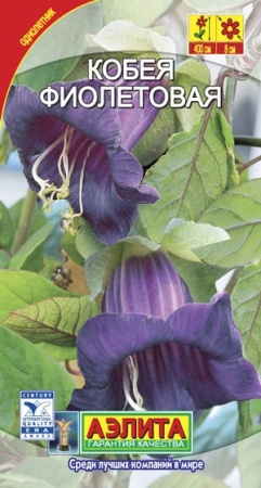 7d524c97-dcea-11dd-9138-00500454e615-2