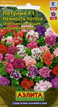 60c96dc5-ca08-11de-87b1-0019dbe91ea3-2