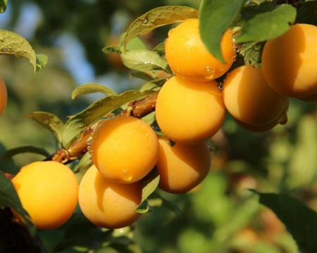 220dfbf3-cc07-11ef-8915-246e9611e8f5-1