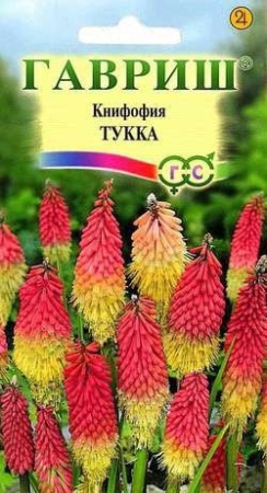 224fa5e0-c5f8-11de-87ad-0019dbe91ea3-2