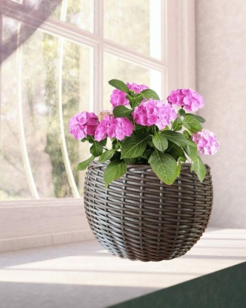 62123bde-d667-11f0-891e-246e9611e8f6-1