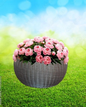 531c7987-df1c-11f0-891e-246e9611e8f6-1