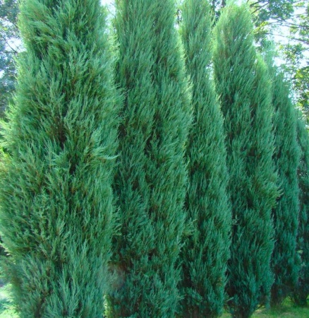 2f7c9e67-f33b-11e5-9ba7-001e673ebdea-1