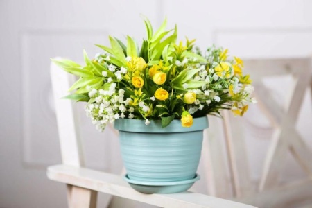 fdfd99a3-5662-11ed-aea3-001e673ebdea-1