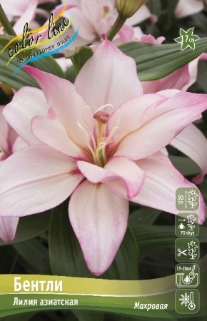 edc7af32-675b-11ed-bd4c-001e673ebdea-1