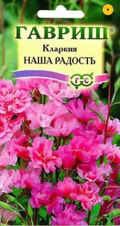 7d524c51-dcea-11dd-9138-00500454e615-2