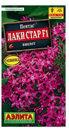 8a3eb268-f80a-11ea-b984-005056c00008-1