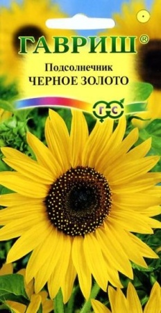 21433da9-c797-11de-87ae-0019dbe91ea3-2