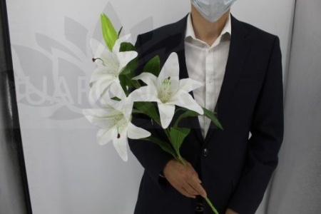 b59d3218-f2af-11ef-8915-246e9611e8f5-1