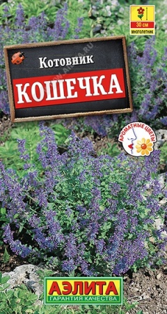 2cca2274-5708-11e1-89d7-00500454e615-1