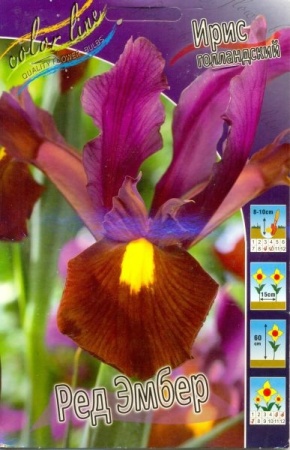 dafee8d4-f185-11e1-8311-00500454e615-1