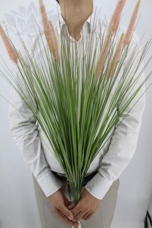 c0330973-5a62-11f0-891b-246e9611e8f7-1