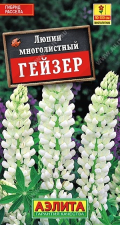 834cf2f6-dcea-11dd-9138-00500454e615-1