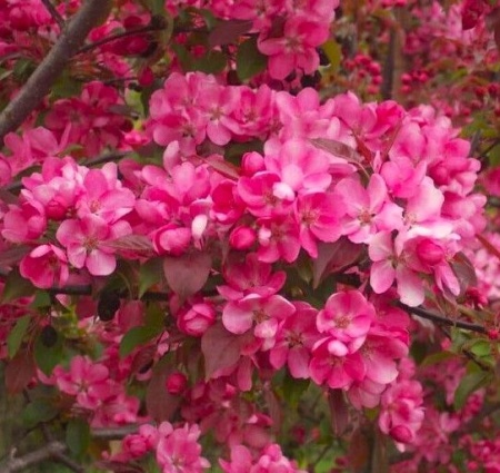 c6dd817a-be07-11f0-891d-246e9611e8f7-1