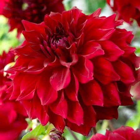 6c111867-2e8f-11e8-a7ea-005056c00008-1