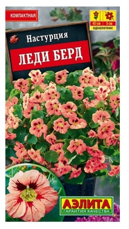 4c511ae7-644a-11eb-ad23-005056c00008-1