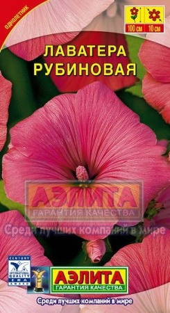 51a3c308-2b02-11e1-be7f-00500454e615-2