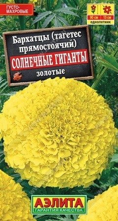 e10c4500-c9eb-11de-87b1-0019dbe91ea3-1