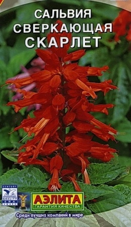 9b4cff6b-dcea-11dd-9138-00500454e615-2