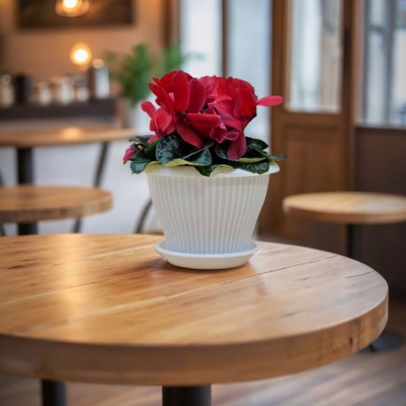 dd5be84d-574b-11ed-aea3-001e673ebdea-1