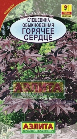 17cd8597-67a7-11e3-804c-00500454e615-2