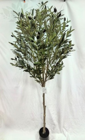 ff54ff09-caaf-11f0-891e-246e9611e8f6-1