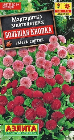 c702ba2e-0496-11de-869b-0019dbe91ea3-1