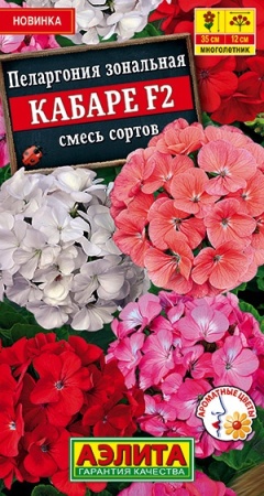 52e8bc48-62da-11eb-bba4-005056c00008-2